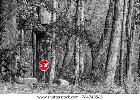 Red stop sign in black and white forest