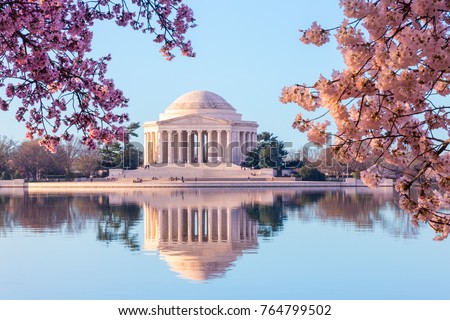 Sun rising illuminates the Jefferson Memorial and Tidal Basin. The bright pink cherry blossoms frame the monument in Washington DC during the annual cherry blossom festival Royalty-Free Stock Photo #764799502