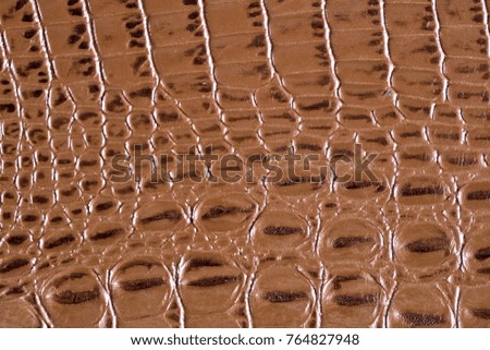 Crocodile leather textured background