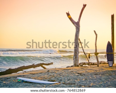 Surboards on the beach, golden hour. Royalty-Free Stock Photo #764852869