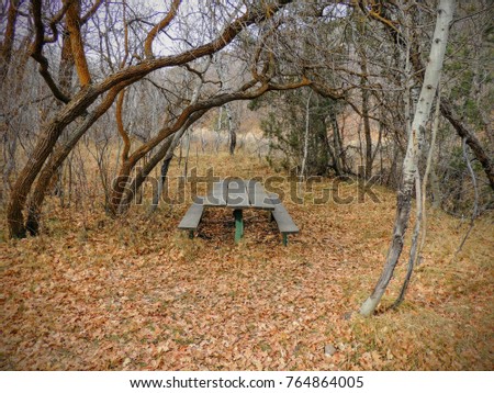 Lone wooden Picnic Table in late Fall panorama forest through trees on the Yellow Fork and Rose Canyon Trails in Oquirrh Mountains on the Wasatch Front in Salt Lake County Utah USA. 