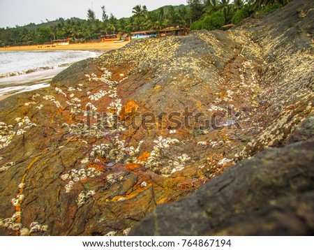 closeup of the rocks on the beach in Karnataka India