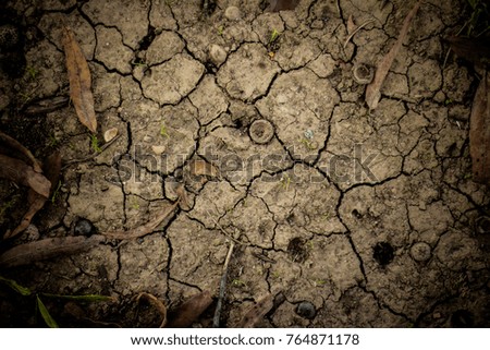 Cracked soil dirt