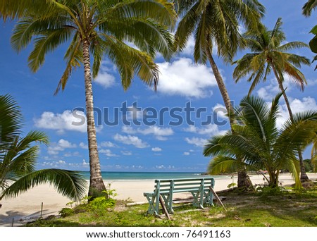 Bench under coconut palm trees on sunny beach