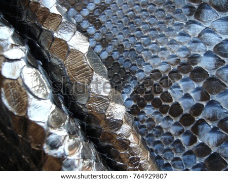 Leather background. Python skin texture. Skin of a snake.