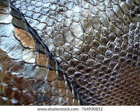 Leather background. Python skin texture. Skin of a snake.