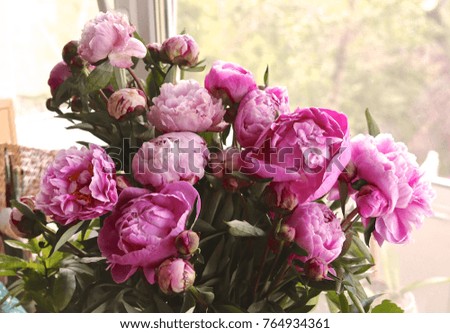 bouquet terry bright very much  
big pink colors of peonies as a gift to the girl in June