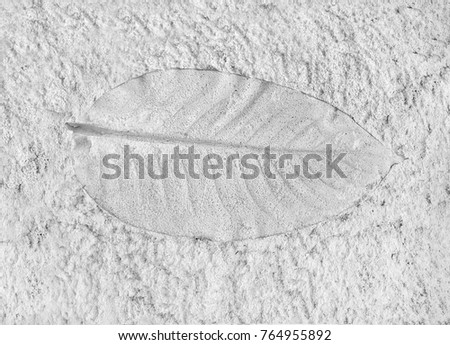 Tree leaf of tropical plant in printed on gray concrete surface for background