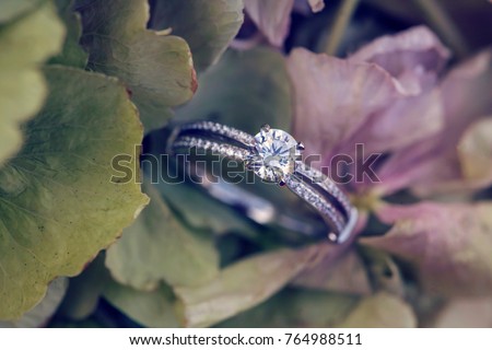 Diamon engagement ring on natural romantic background  Royalty-Free Stock Photo #764988511