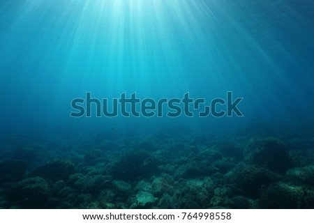 Natural sunbeams underwater with rocks on the seabed and a shoal of small fish, Mediterranean sea, Cote d'Azur, France Royalty-Free Stock Photo #764998558