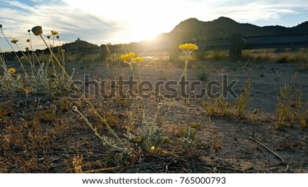 Nature in parts of Arizona