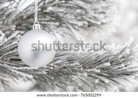 Silver Christmas balls on a pine branch covered with frost. Christmas card. Space for text.