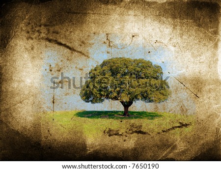 lonely tree with grunge and aged textured background