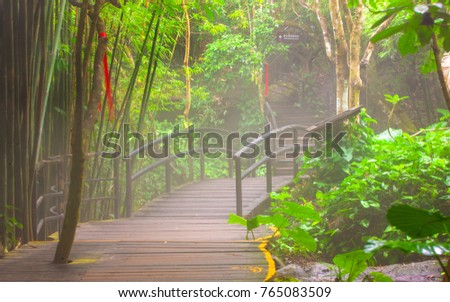 Bridge to the jungle, Sanya, China, Yanod National Park