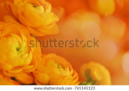 Floral corner arrangement with ranunculus flowers on orange bokeh background