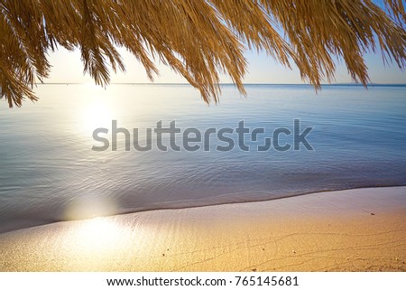 Beautiful view of a golden beach and sea in rays of sunlight on sunrise. Scenic frame with leaves of palm. The concept of beach rest, relaxation and meditation. Background template for text.
