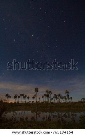 nightscapes with lagoon and palms