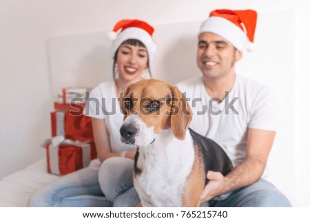young couple sitting on bed with christmas santa hats having fun with their dog. Presents on bed. Home, indoors. Xmas concept
