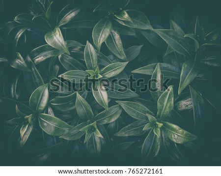 green leaves vintage style for the background