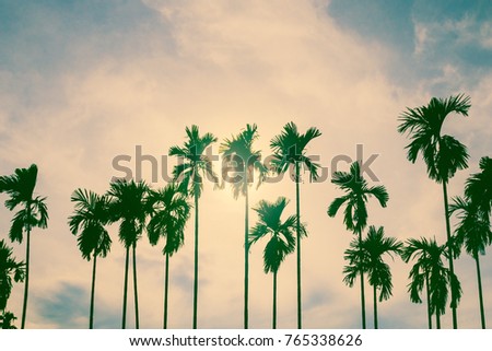 Palm trees in vintage style.