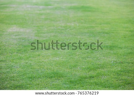 Grass field background
