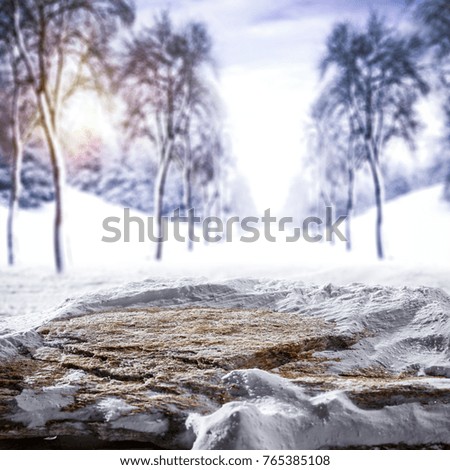 Winter background and free space 