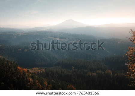 Views of nature. Landscape in the national park of Czech Switzerland