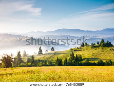 Misty alpine highlands in sunny day. Location Carpathian national park, Ukraine, Europe. Picture of wild area. Scenic image of hiking concept. Adventure vacation. Explore the beauty of earth.