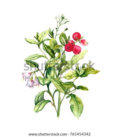 Berries, meadow flowers, wild herbs, field grass. Watercolor