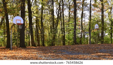 Abandoned basketball court in the woods covered with colorful leaves
