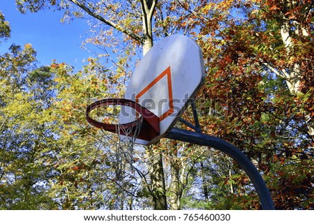 Basketball backboard with orange hoop with torn net. Colorful autumn leaves in background
