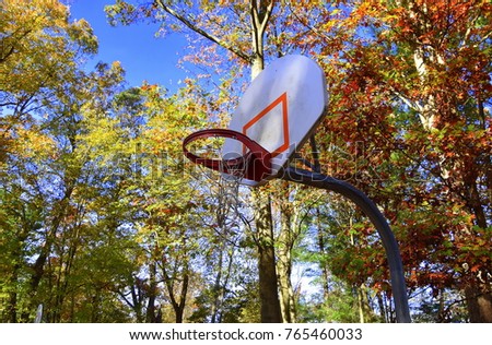 Basketball backboard with orange hoop with torn net. Colorful autumn leaves in background
