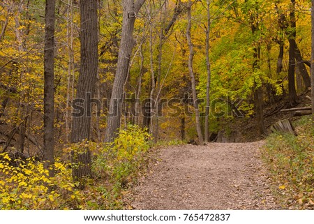 Beautiful colorful parks in Illinois country side in autumn