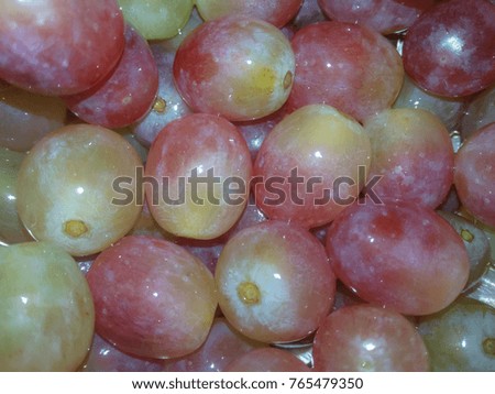 The Moldovan variety of red grapes