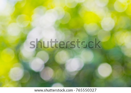 Blurred image of green tree with light illuminated by channel. focus background from nature forest