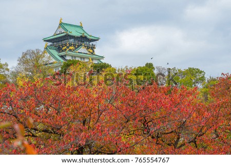 Osaka Castle in Osaka with autumn leaves. Japan.