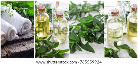 Collage from spa photos.  Wellness site header. Cosmetic organic  products. Bottles with aroma oil,  green leaves of mint, towels on vintage wooden background.