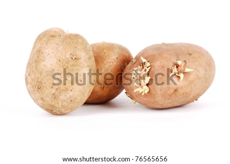 fresh potato on a white background