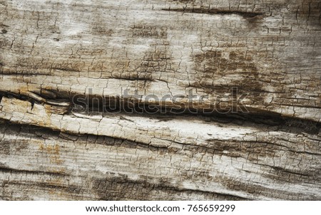 Dark grunge  wooden texture background. 