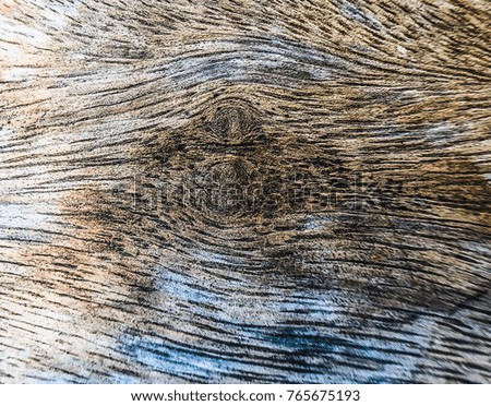 Brown bark pattern texture blurry background