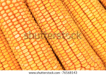 corn material in China rural