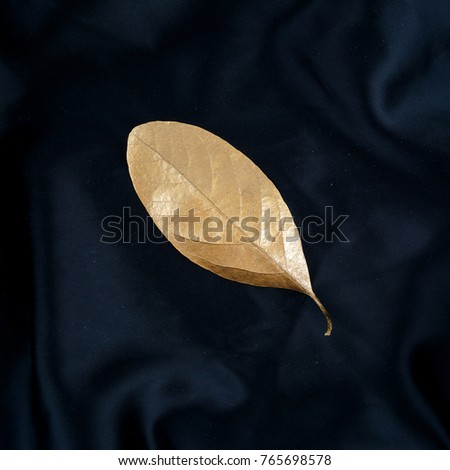 gold leaf isolated on black silk. luxury background.