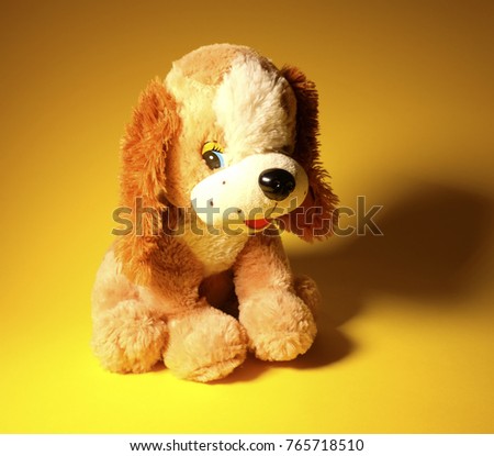 toy dog, puppy, dog on a yellow background, dog year