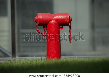 Fire hydrant on the lawn