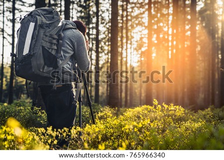 Photographer takes a picture in Silent Forest in spring with beautiful bright sun rays