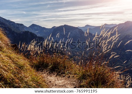 Wonderful Alpine Highlands in Sunny Day. High Grass under Sunlit. A magnificent panorama of the mountains in Autumn, Wonderful Picturesque Scene with Perfect Sky at Sunset.  near Neuschwanstein Castle