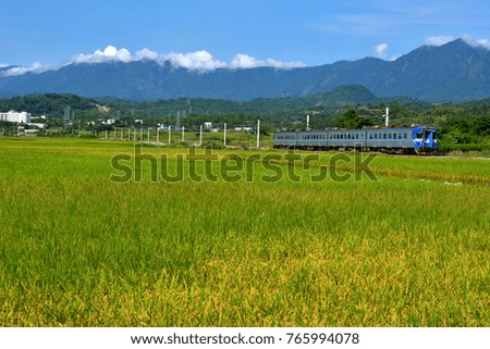Taiwan, Hualien, yellow rice fields and moving train on a blue sky and rolling mountains are a beautiful picture