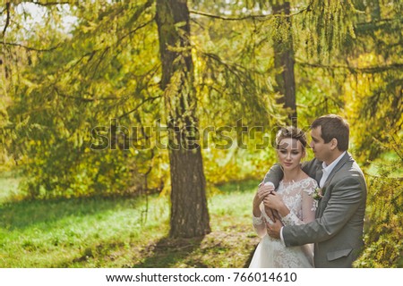 Autumn photos of the newlyweds in the Sunny forest.