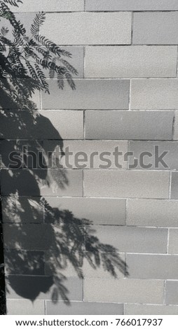 Shadow tree on brick wall , texture