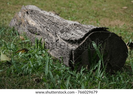 The log was left on the lawn.